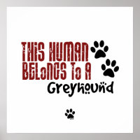 This Human Belongs to a Greyhound
