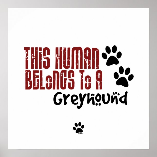 This Human Belongs to a Greyhound Poster (Front)
