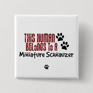 This Human Belongs to a Miniature Schnauzer 15 Cm Square Badge