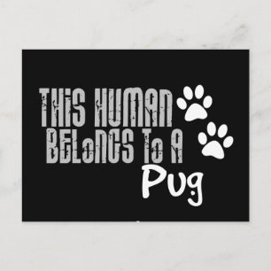 This Human Belongs to a Pug Postcard