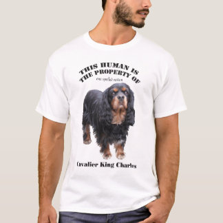 This human is the property of: black and tan cav T-Shirt