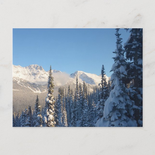 This is a beautiful picture in Whistler Canada Postcard (Front)