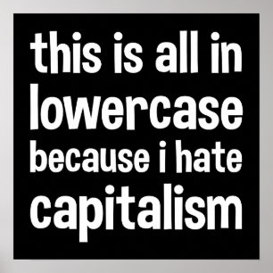 this is all in lowercase because i hate capitalism poster