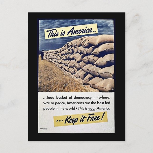This Is America Keep It Free! Postcard (Front)