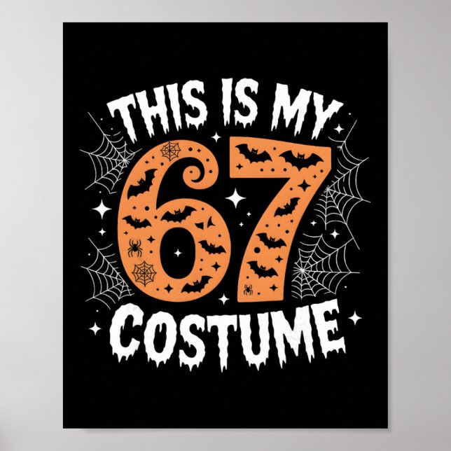 This Is My 67 Costume Lazy Brainrot Meme 67 Funny  Poster (Front)