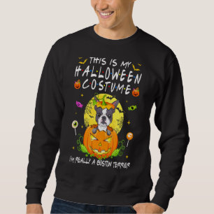 This Is My Halloween Costume I'm Really A Boston T Sweatshirt