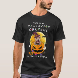 This Is My Halloween Costume I'm Really A Pitbull  T-Shirt
