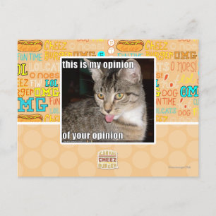 this is my opinion postcard