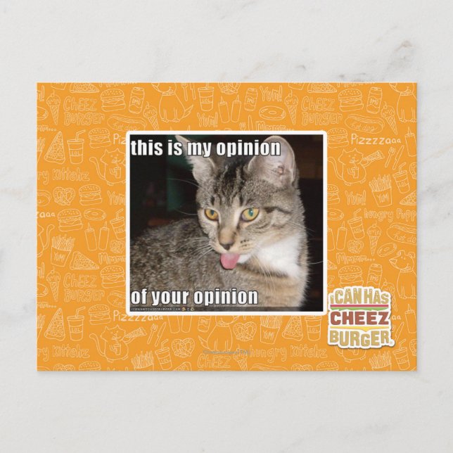 this is my opinion postcard (Front)