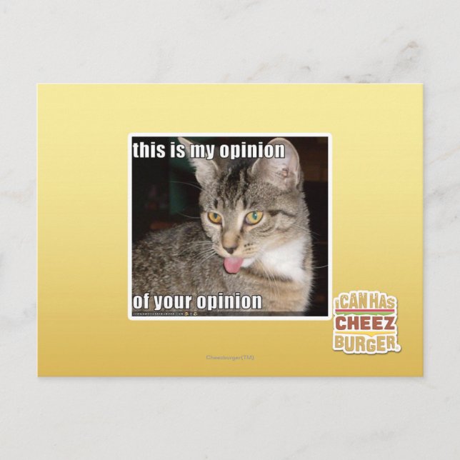 this is my opinion postcard (Front)
