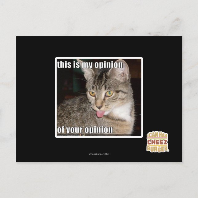 this is my opinion postcard (Front)