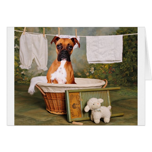 This is not funny (Front Horizontal)