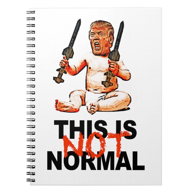 This is Not Normal Notebook (Front)