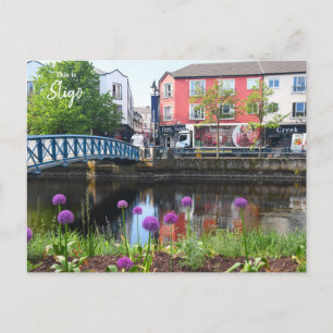 This is Sligo -Ireland Postcard