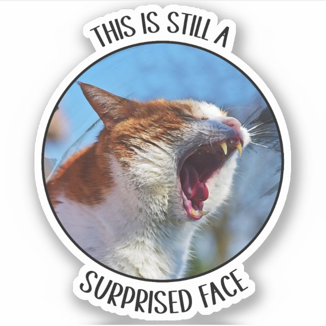 This is Still A Surprised Face Funny Cute Cat Meme (Front)