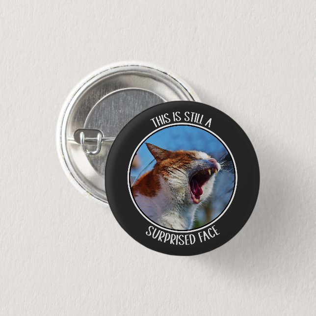 This is Still A Surprised Face Funny Cute Cat Meme 3 Cm Round Badge (Front & Back)