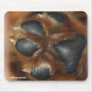 This is the Golden Penny Paw mouse pad