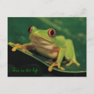 This is the life postcard