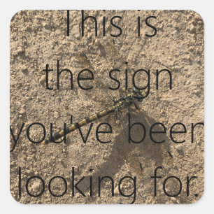 This is the sign you've been looking for.  square sticker