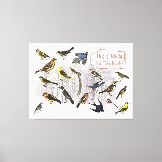 This Is Totally For The Birds Canvas Print (Front)
