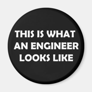 This is What an Engineer Looks Like Magnet