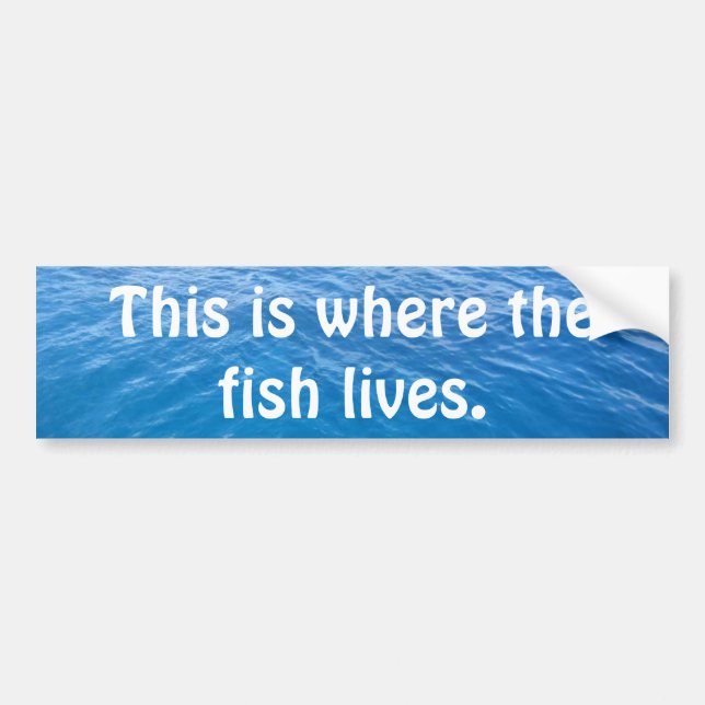 This is where the fish lives. bumper sticker (Front)