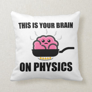 This is Your Brain on Physics Products Cushion