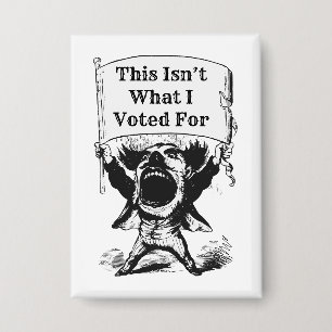 This Isn’t What I Voted For