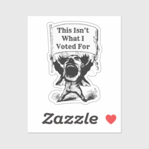 This Isn’t What I Voted For