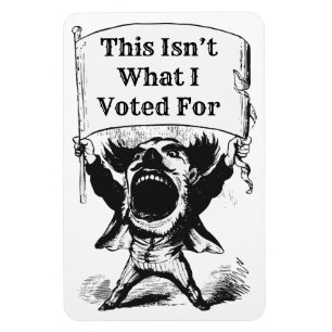 This Isn’t What I Voted For Magnet