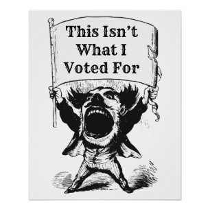 This Isn’t What I Voted For Poster