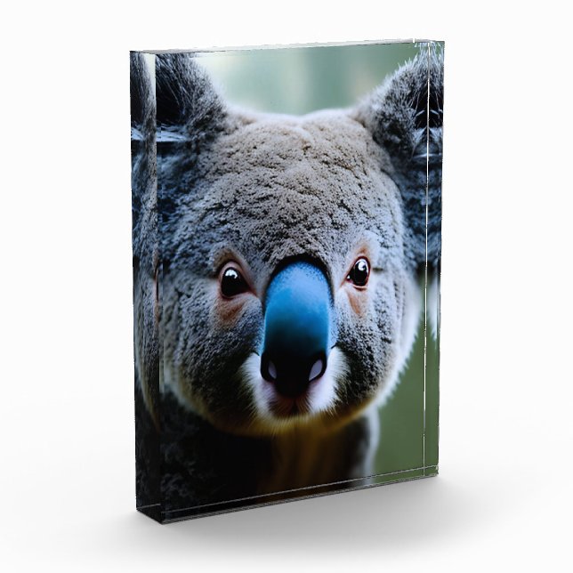 This Koala Bear Loves A Selfie, Photo Block (Left)