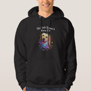This Lab Doesnt Know Sit Labrador Retriever Humor Hoodie