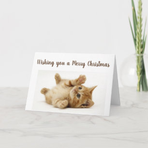 THIS LITTLE KITTY WANTS TO SAY **MERRY CHRISTMAS** HOLIDAY CARD