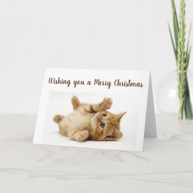 THIS LITTLE KITTY WANTS TO SAY **MERRY CHRISTMAS** HOLIDAY CARD (Front)