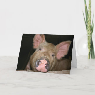 This Little Piggy says Get Well Card
