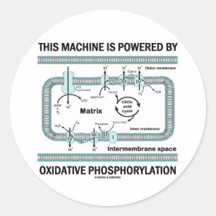 This Machine Powered By Oxidative Phosphorylation Classic Round Sticker