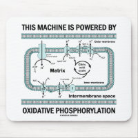 This Machine Powered By Oxidative Phosphorylation