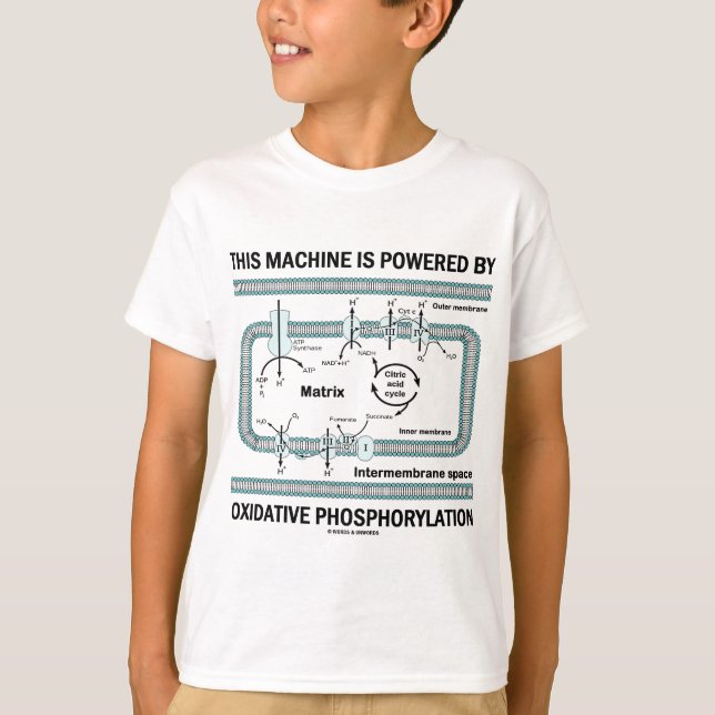 This Machine Powered By Oxidative Phosphorylation T-Shirt (Front)