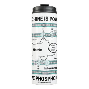 This Machine Powered By Oxidative Phosphorylation Thermal Tumbler