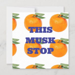 THIS MUSK STOP MAGNET