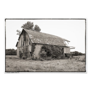 This Old Barn Photo Print