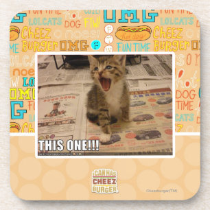 This one! coaster