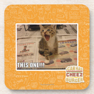 This one! coaster