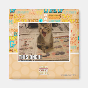 This one! magnet