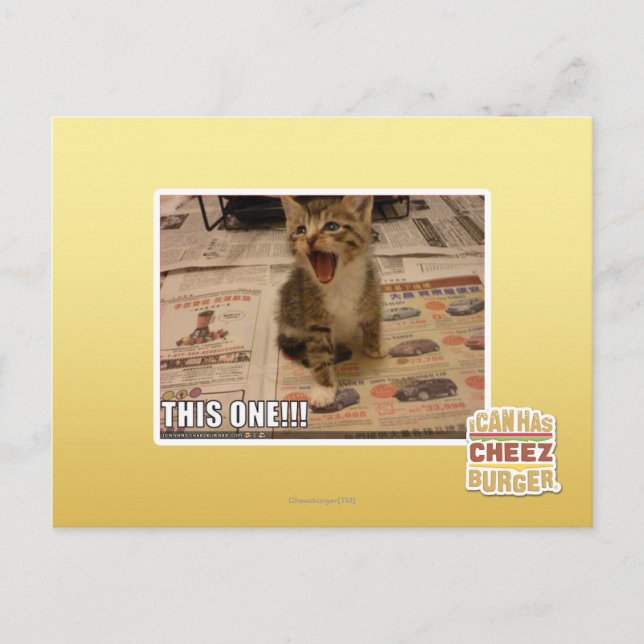 This one! postcard (Front)