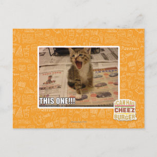 This one! postcard