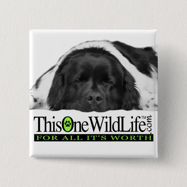This One Wild Life Button (Front)