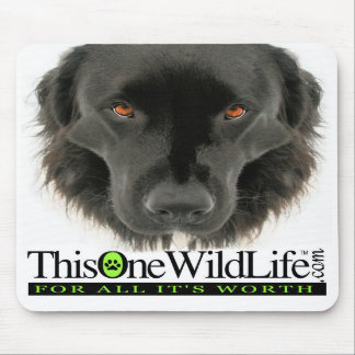 This One Wild Life Mouse Pad