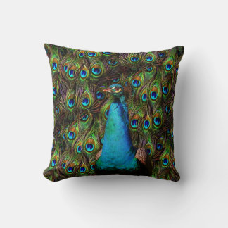 This peacock is watching you! cushion